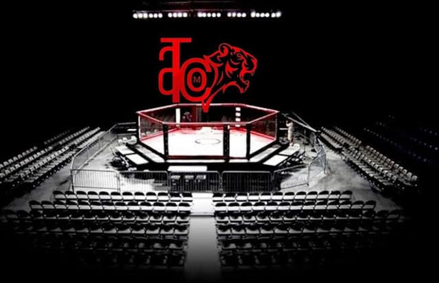 Combat Academy (jiu-jitsu - MMA-Aikido)