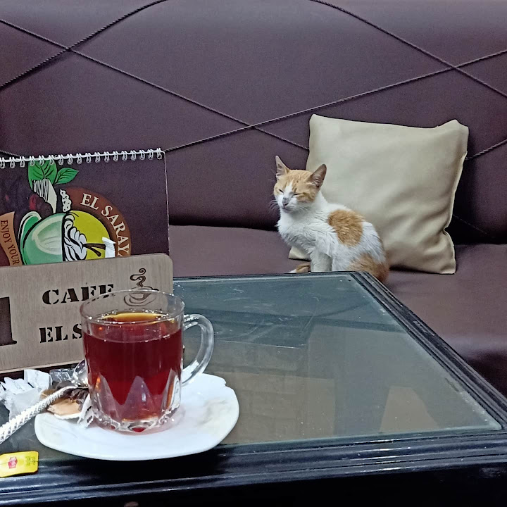 السرايا كافيه