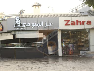 عز المنوفي