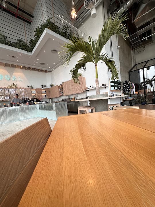 LOCAL Mamsha - لوكال ممشى