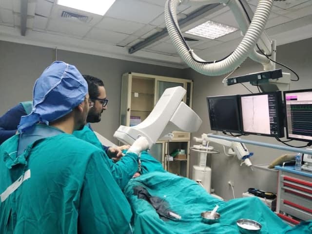 دكتور محمد عبدالحليم الطنطاوي