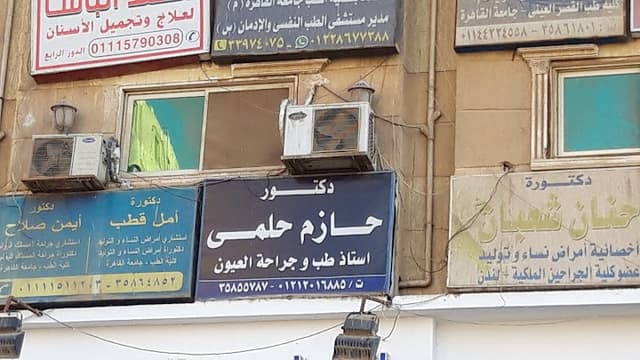 أ.د/ حازم حلمى