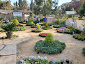 Orman Garden