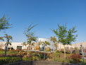 The Park at MoA