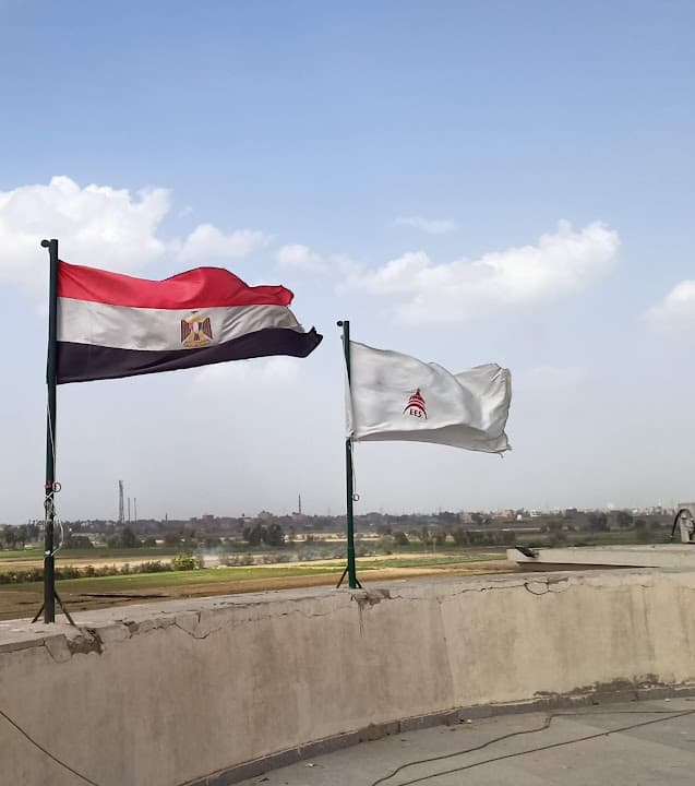 Egyptian English School