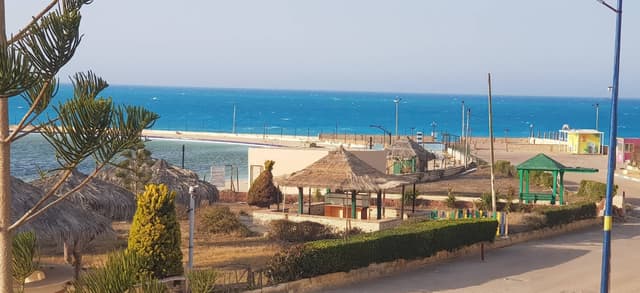 Lotus North Coast Kilo 91