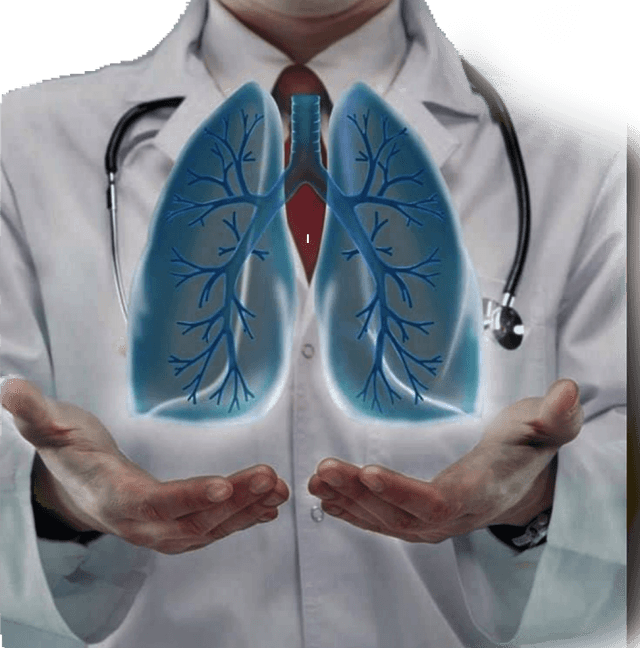 Dr.Bassem enar