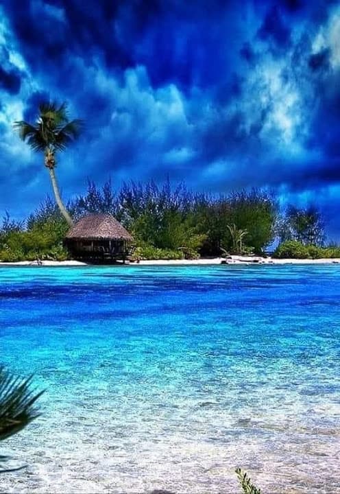 مدرسة أويش الحجر الأعدادية الجديدة