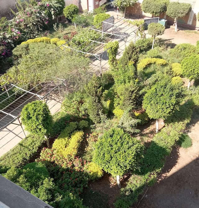 مدرسة سندوب الاعدادية بنات غرب