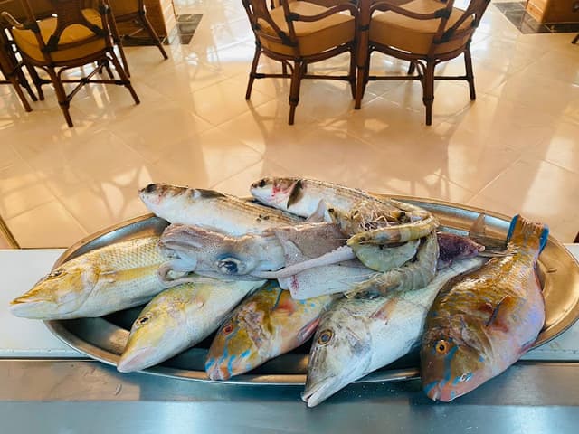 تامر السامبو