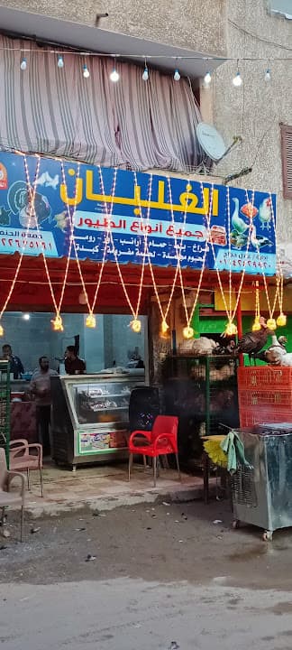 الغلبان للطيور