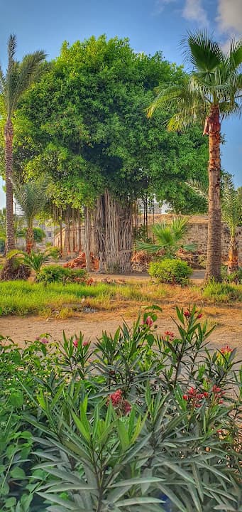 سور اسكندرية القديم
