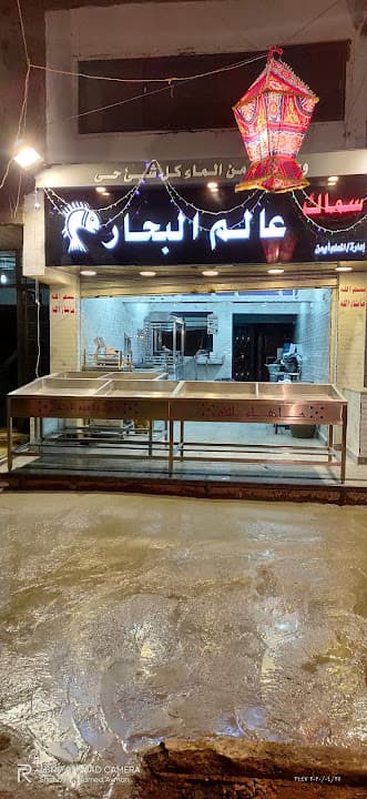 اسماك عالم البحار