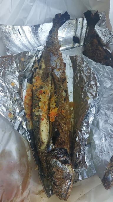 اسماك الدكتور - فؤاد نوفل