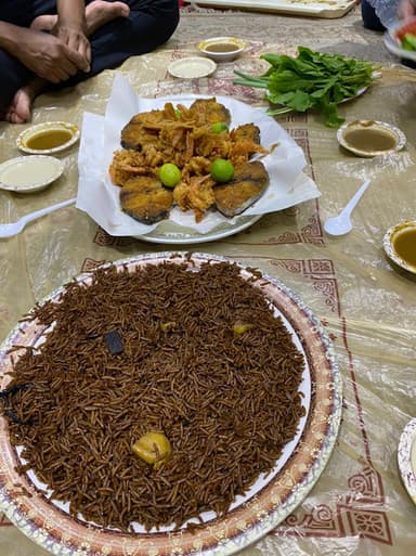 اسماك الندى