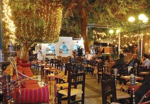 بيتزا الشيف المبتديان