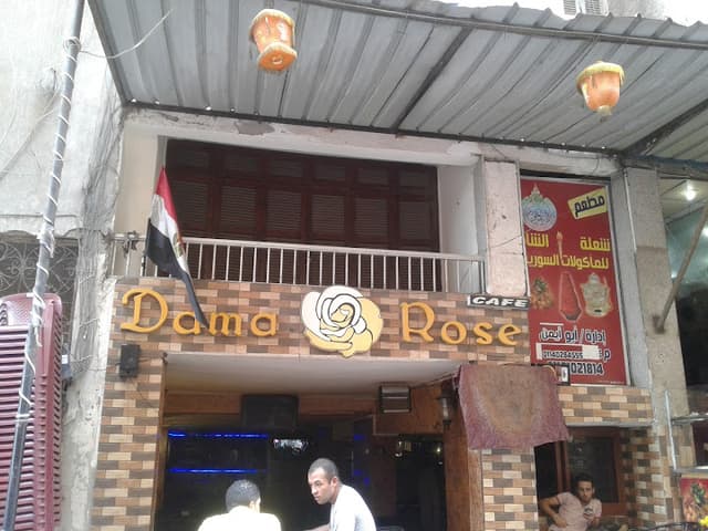 Dama Rose