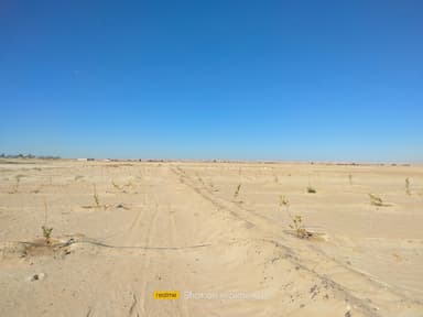 كافتيريا جمال عبد الناصر