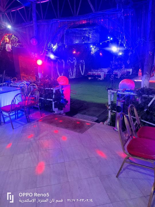 Chelsea Cafee شيلسي كافيه