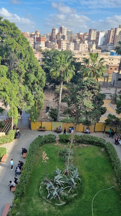 Almowasah University Hospital