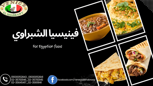 فينيسيا الشبراوي - Venecia El-Shabrawy
