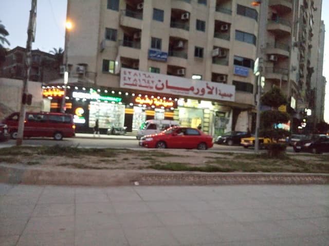 صيدلية د. مجدى عدلى