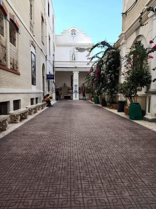 Saint Catherine School