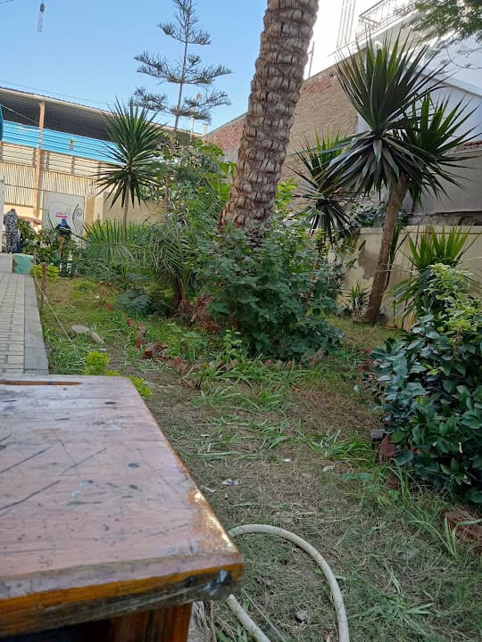 مدرسة فاطمة الزهراء الرسمية لغات