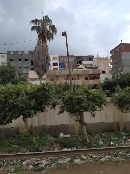 مدرسه ابن النفيس الابتدائيه المشتركه