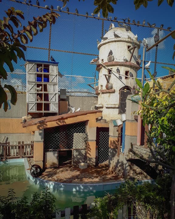 International Liberty School