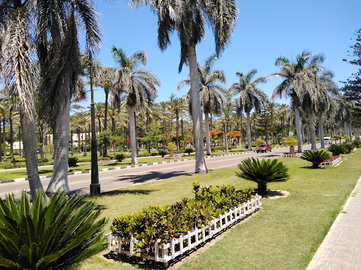 Elmontaza Garden