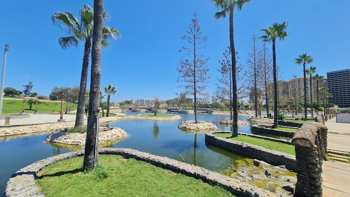 Montaza Lake - البحيره