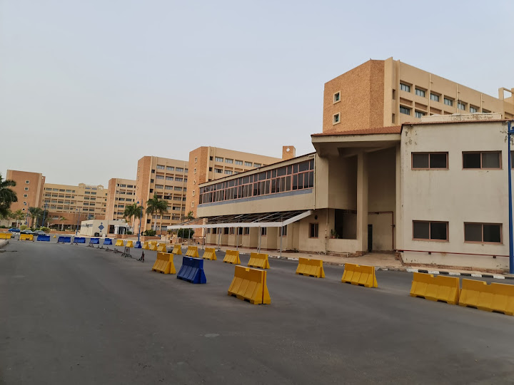 Pharos University in Alexandria (PUA)