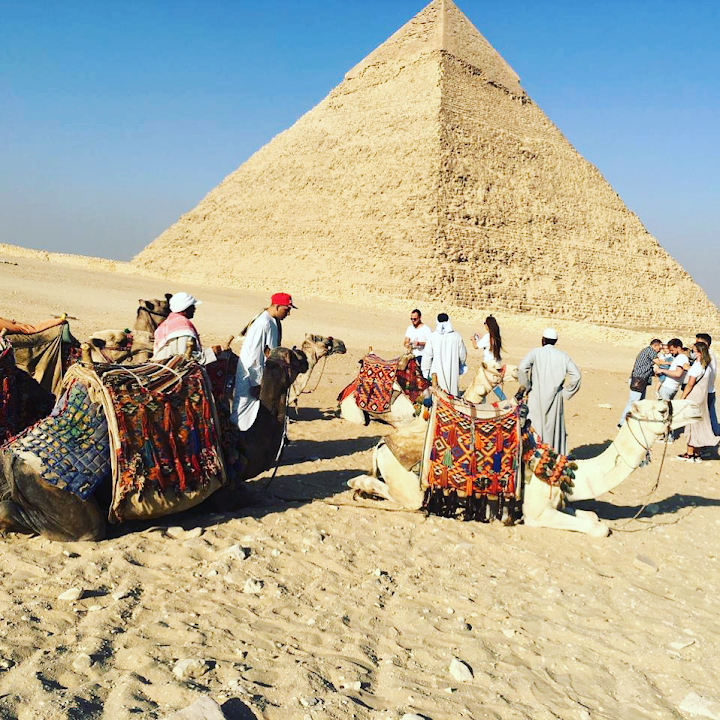 Live Egypt tours