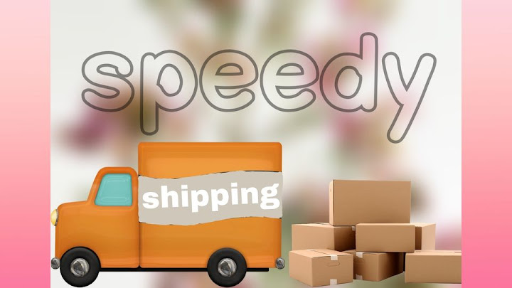 dr . speedy for transport &shipping