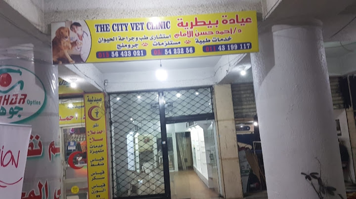The city vet clinc العياده البيطريه