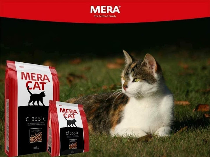 Fluffy pets center 2 مركز فلافى بيتس ٢