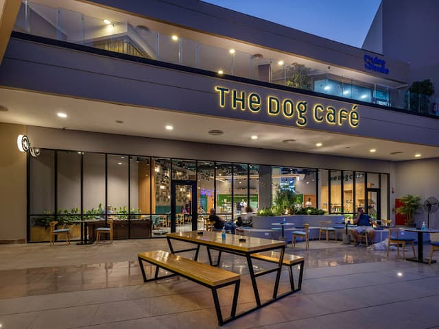 The Dog Café
