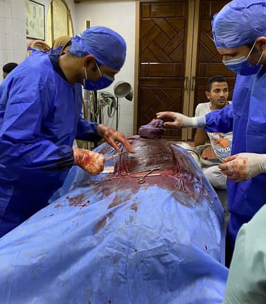 Jawad Equine hospital