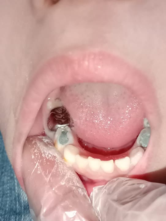 دكتور محمود كامل قاسم