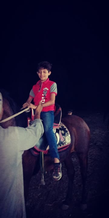 El Salakawy Sons