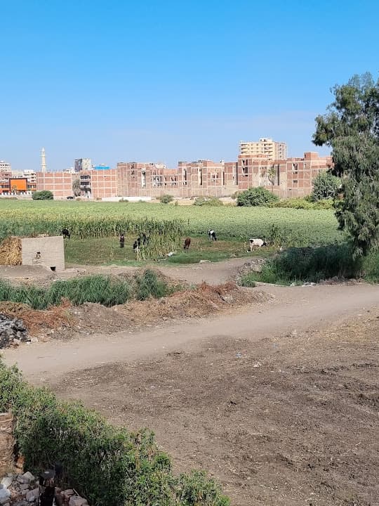 مدرسة قويسنا الثانوية الزراعية