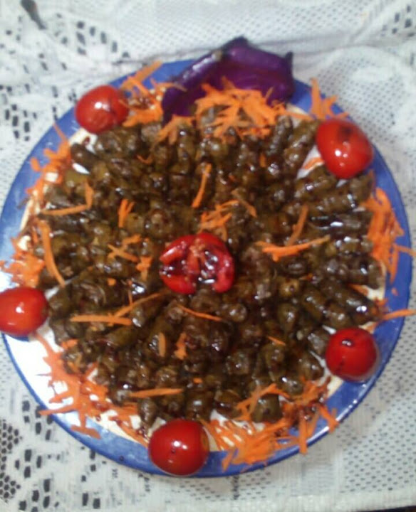 مطبخ بالهنا والشفا للاكلات البيتى