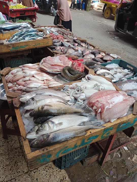 عربيه عادل فتحي ابو ادهم