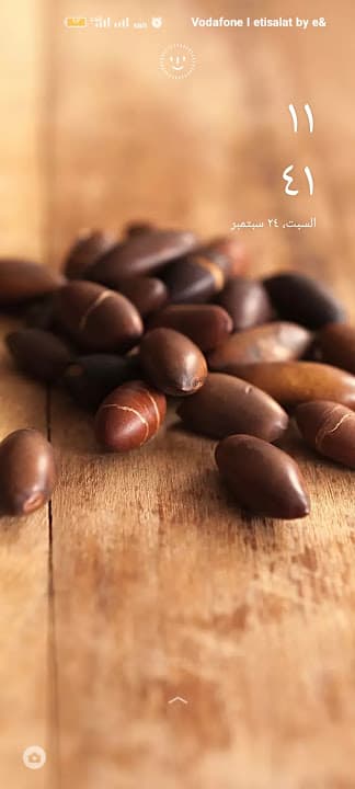 بيتزا التوحيد