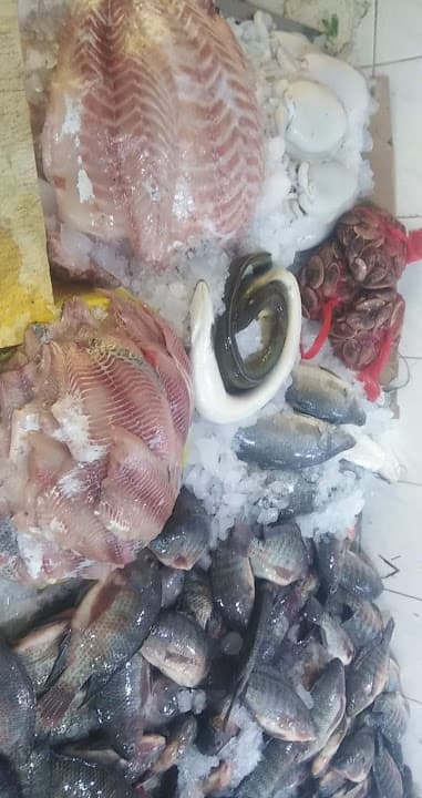 El Nil Fish