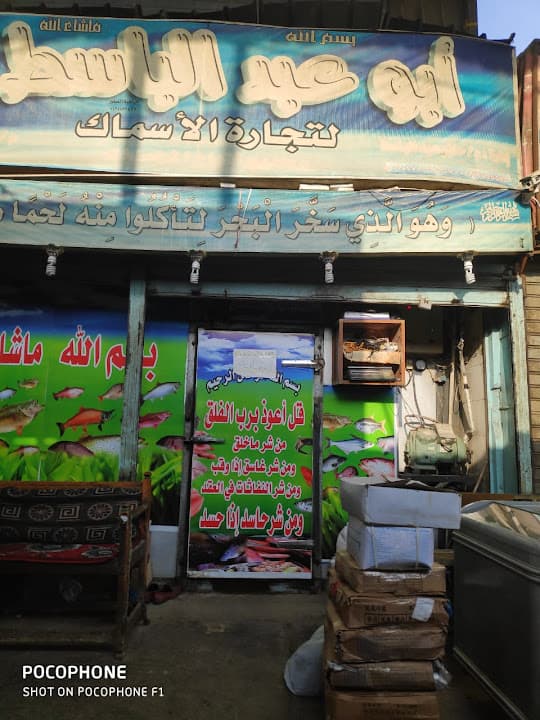 اسماك المعلم حازم عبدالباسط