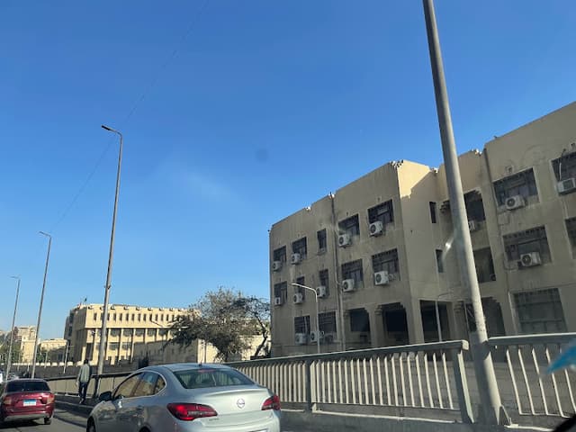فول نجمة الجامعة
