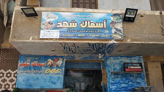 أسماك شهد