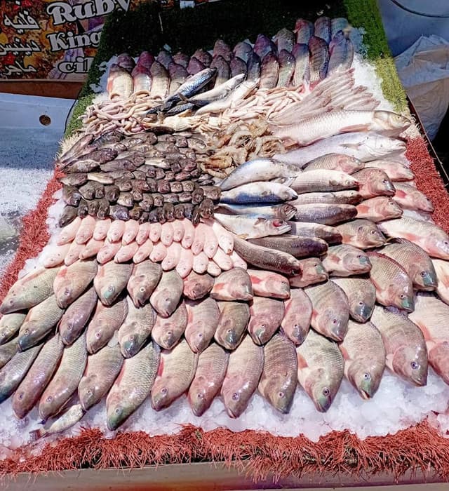 اسماك الدبيكي